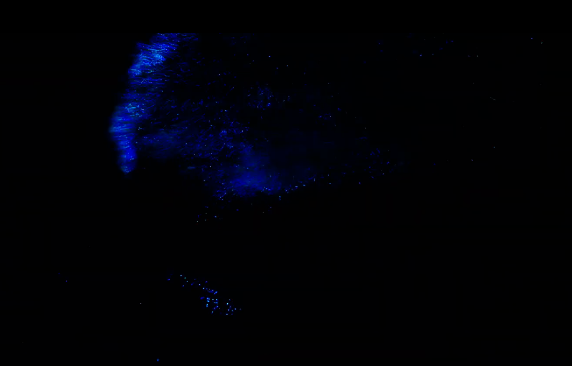 Bio_Myles_vid_screenshot_2