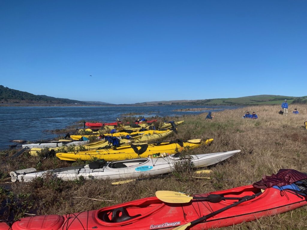 Heart's Desire Beach Kayak Tours