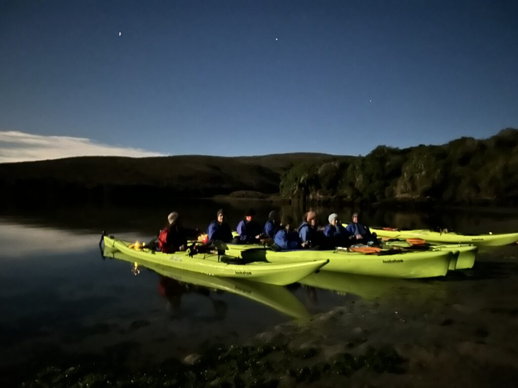 Bioluminescence tours on Tomales Bay